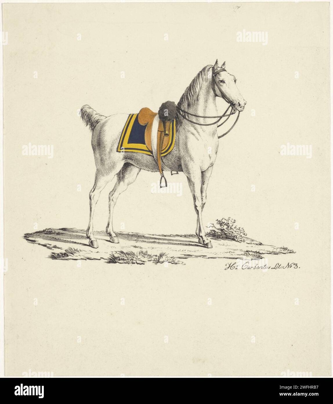 Cavallo con sella e briglia, Hermanus Carbentus, 1809 - 1854 stampa il cavallo indossa una briglia senza nasello e doppie redini. Il ponte della sella ha un doppio bordo. Oltre alla firma del tipografo, dice: No. 3. Il giornale dell'Aia. cavallo acquerello (vernice) Foto Stock