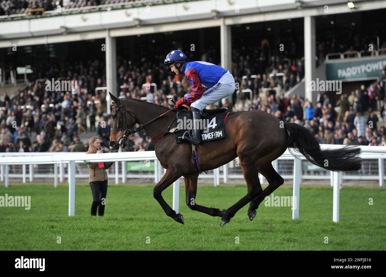 Gara 2 12,40 i Timeform Novices handicap Chase Tightenourbelt guidati da Tom Bellamy sulla strada per la partenza. Ippodromo di Cheltenham Raceco Foto Stock