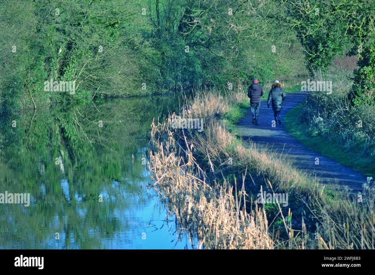Coppia in una passeggiata invernale lungo un sentiero lungo il canale. Grand Western Canal, Tiverton, Devon, Regno Unito Foto Stock