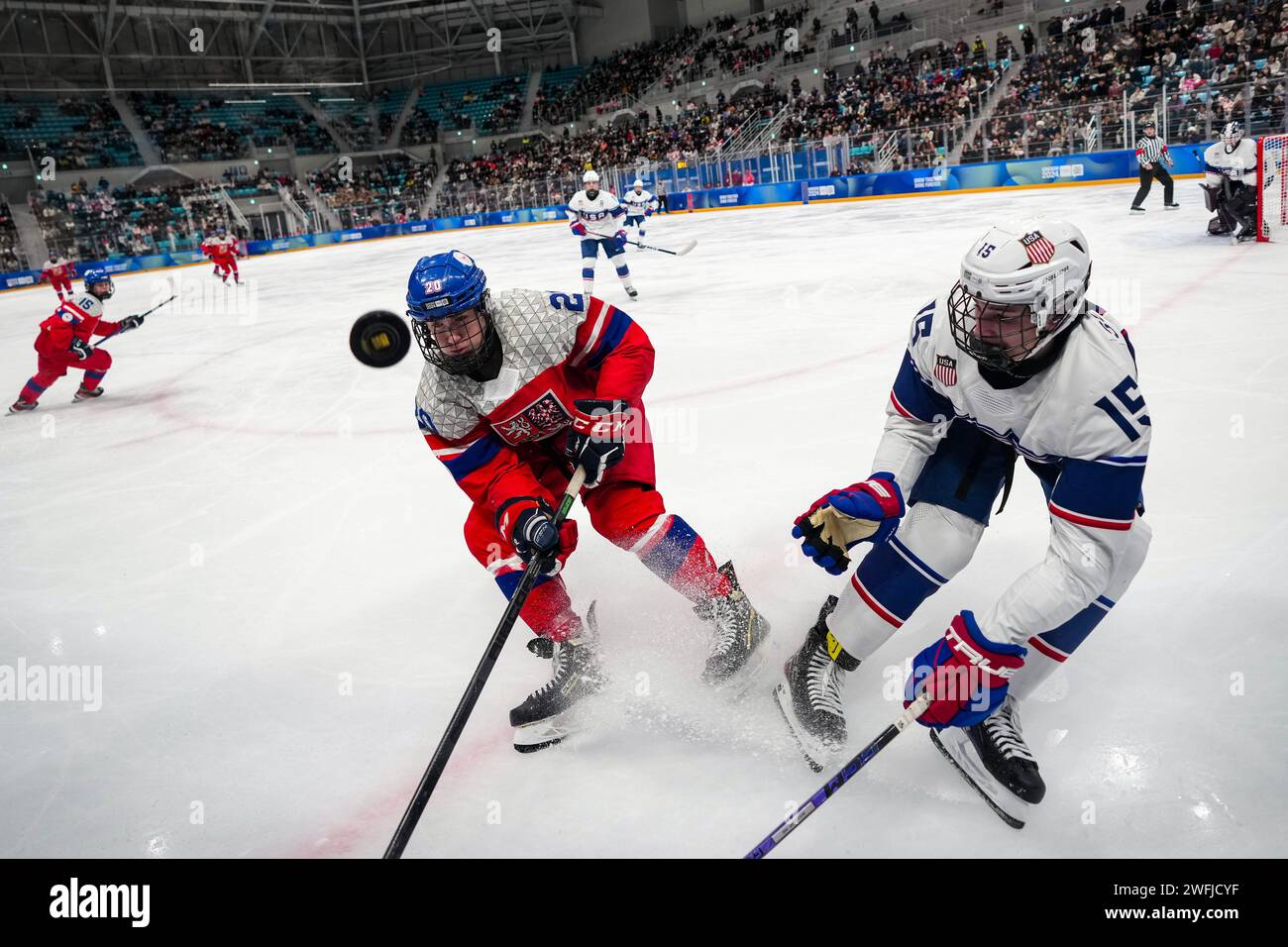 Gangneung, Corea del Sud. 31 gennaio 2024. David Huk (L) della Repubblica Ceca combatte per il disco con Luke Schairer degli Stati Uniti durante il torneo maschile a 6 squadre, la medaglia d'oro all'evento di hockey su ghiaccio ai Giochi olimpici invernali giovanili Gangwon 2024 a Gangneung, Corea del Sud, 31 gennaio 2024. Crediti: Zhang Xiaoyu/Xinhua/Alamy Live News Foto Stock