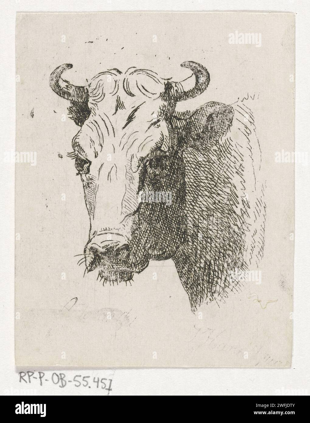Testa di mucca, John Hari (II), c. 1822 - 1887 stampa l'Aia carta che incide mucca Foto Stock