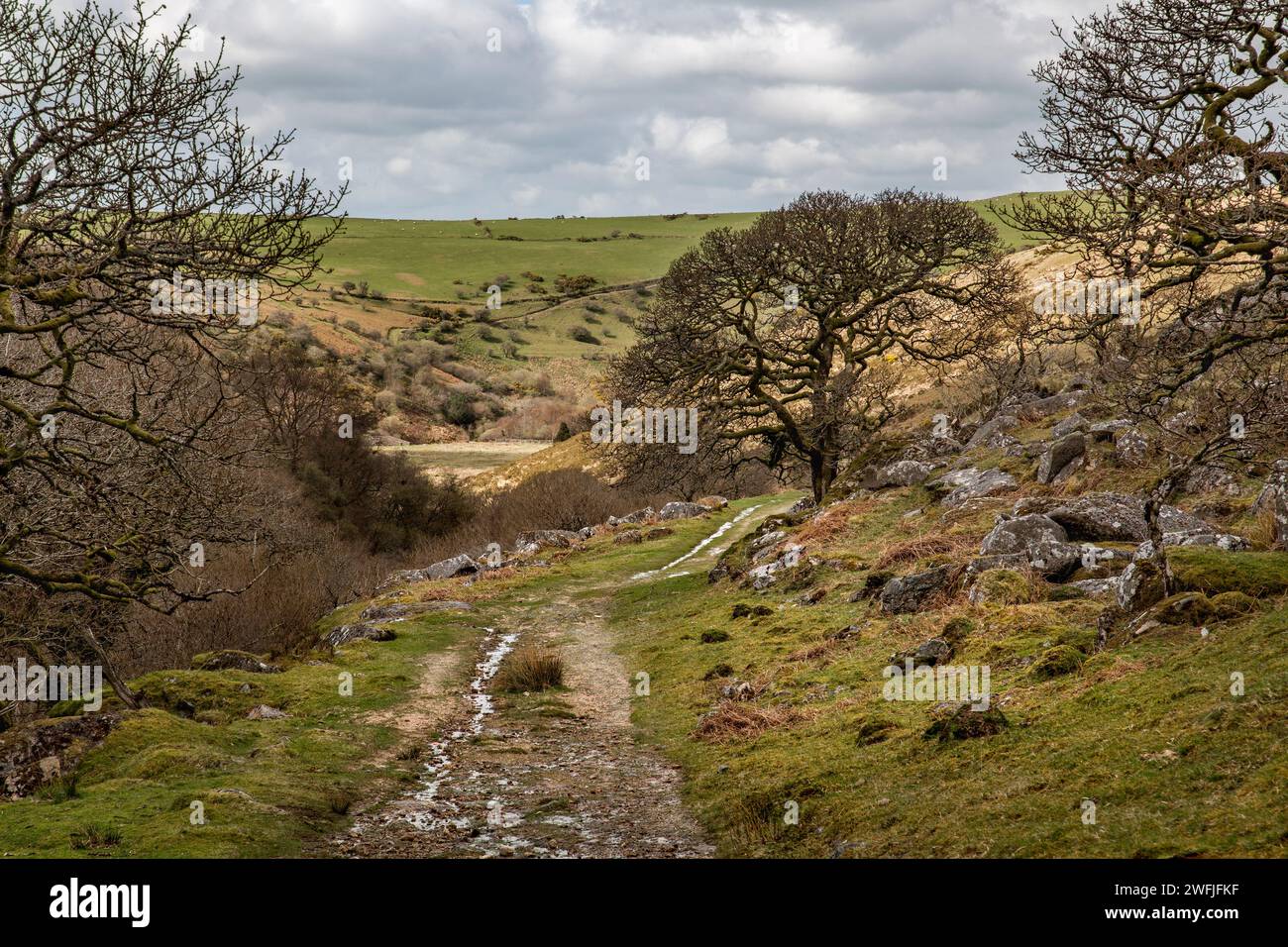 Black a Tor Footpath; West Oakment Valley; Dartmoor; Devon; Regno Unito Foto Stock