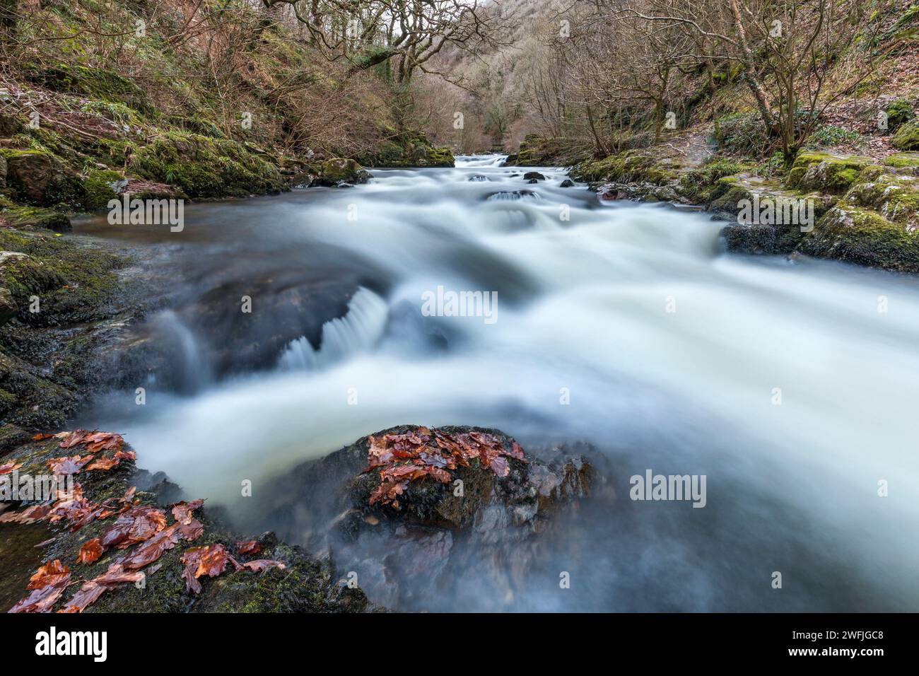 East Lyn River; Devon; Regno Unito Foto Stock