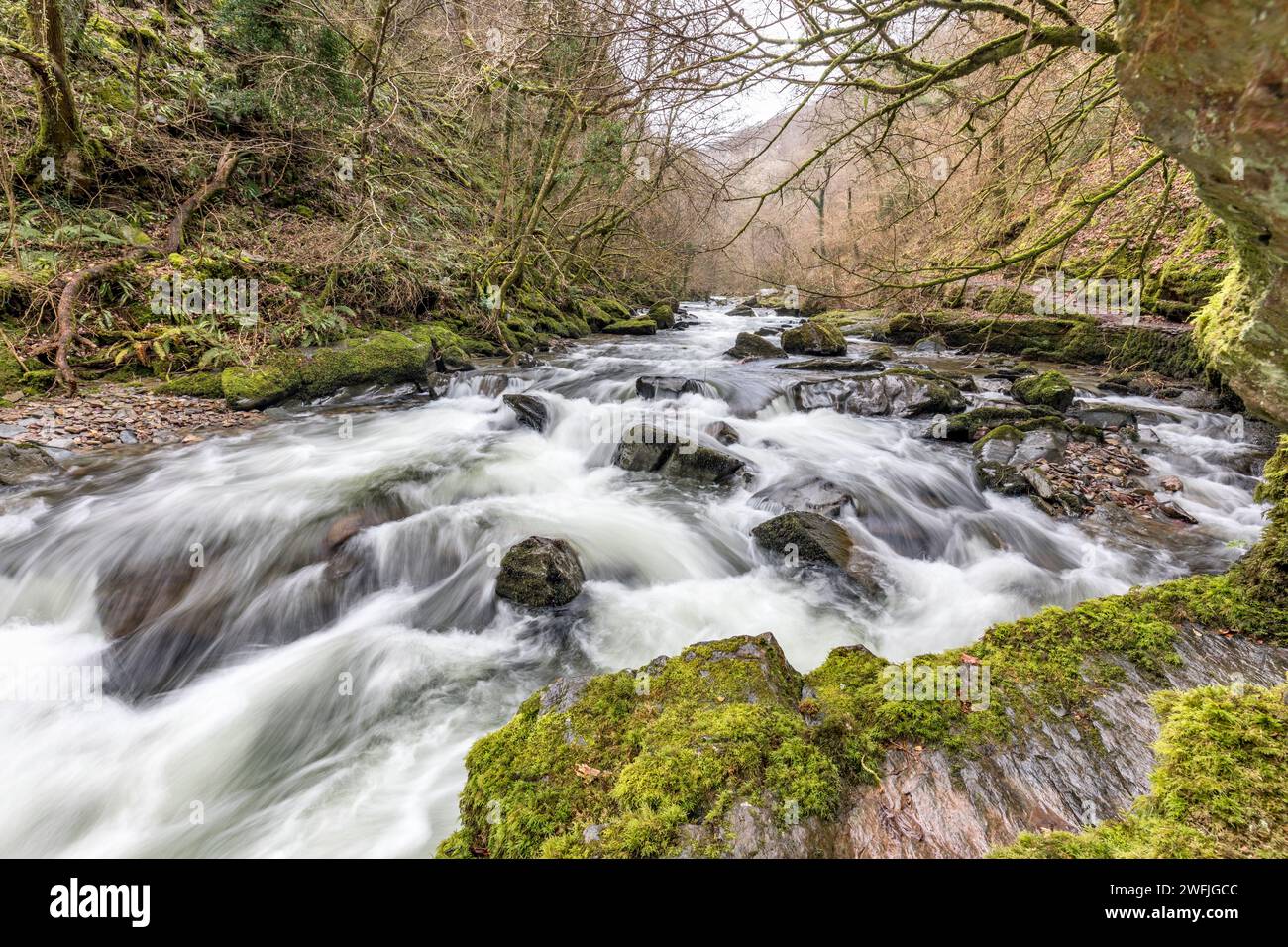 East Lyn River; Devon; Regno Unito Foto Stock