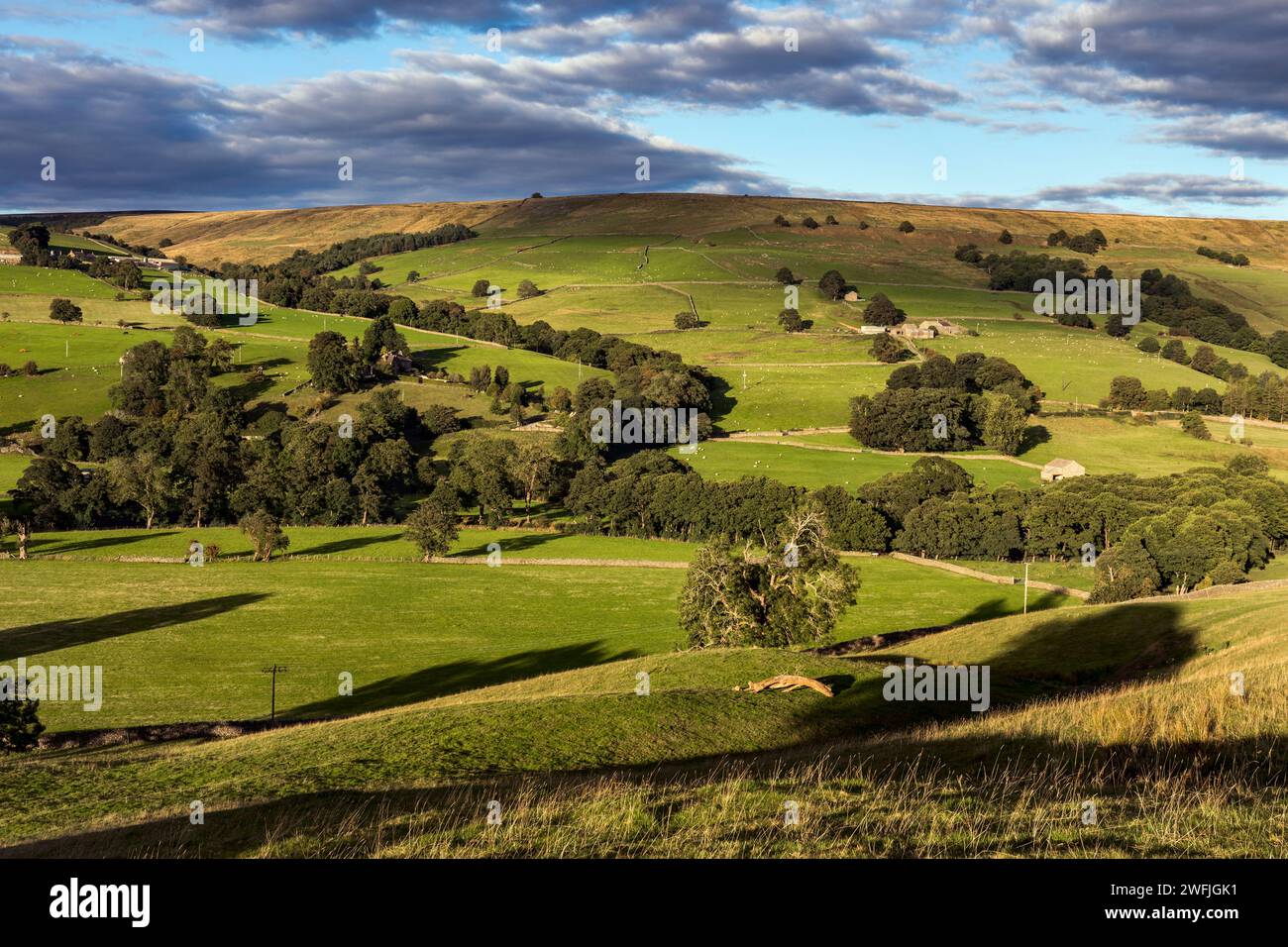 Nidderdale; Vista da vicino Blayshaw; Yorkshire Dales; Regno Unito Foto Stock