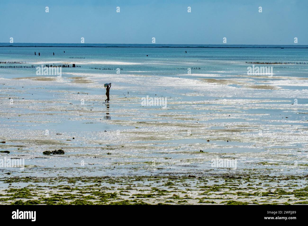 Costa est a Zanzibar Foto Stock