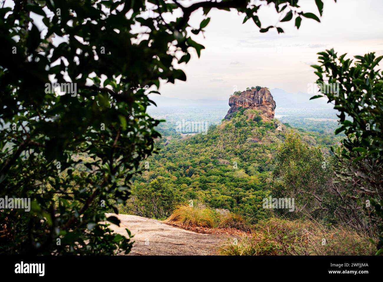 Sigiriya, Sri Lanka. Lion's Rock dal monte Pidurangala. Viaggia a Dambulla, Srilanka. Turismo nel patrimonio dell'umanità. Trekking nella foresta verde. Foto Stock