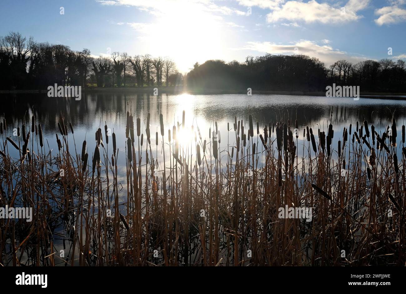 lake at blickling park, norfolk nord, inghilterra Foto Stock
