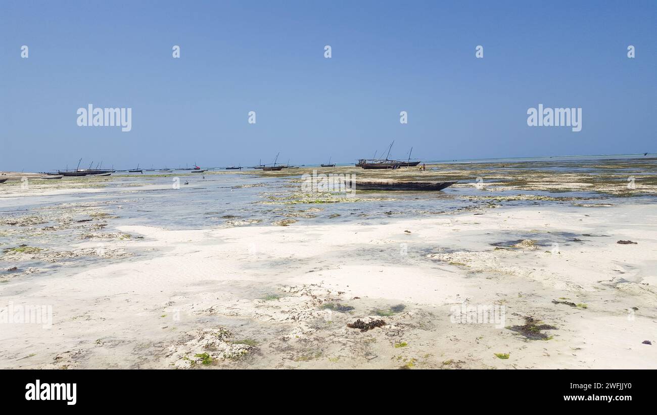 Barche da pesca di Zanzibar sulla costa orientale della bassa marea Foto Stock