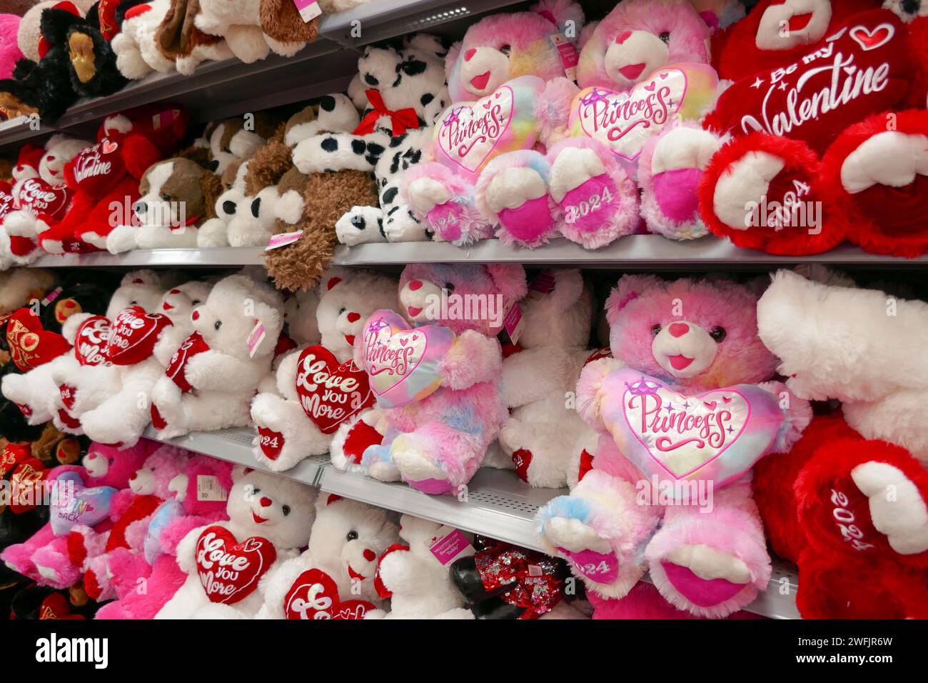 San Valentino 2024, Teddy Bears in vendita in un negozio locale nel nord della Florida. Foto Stock
