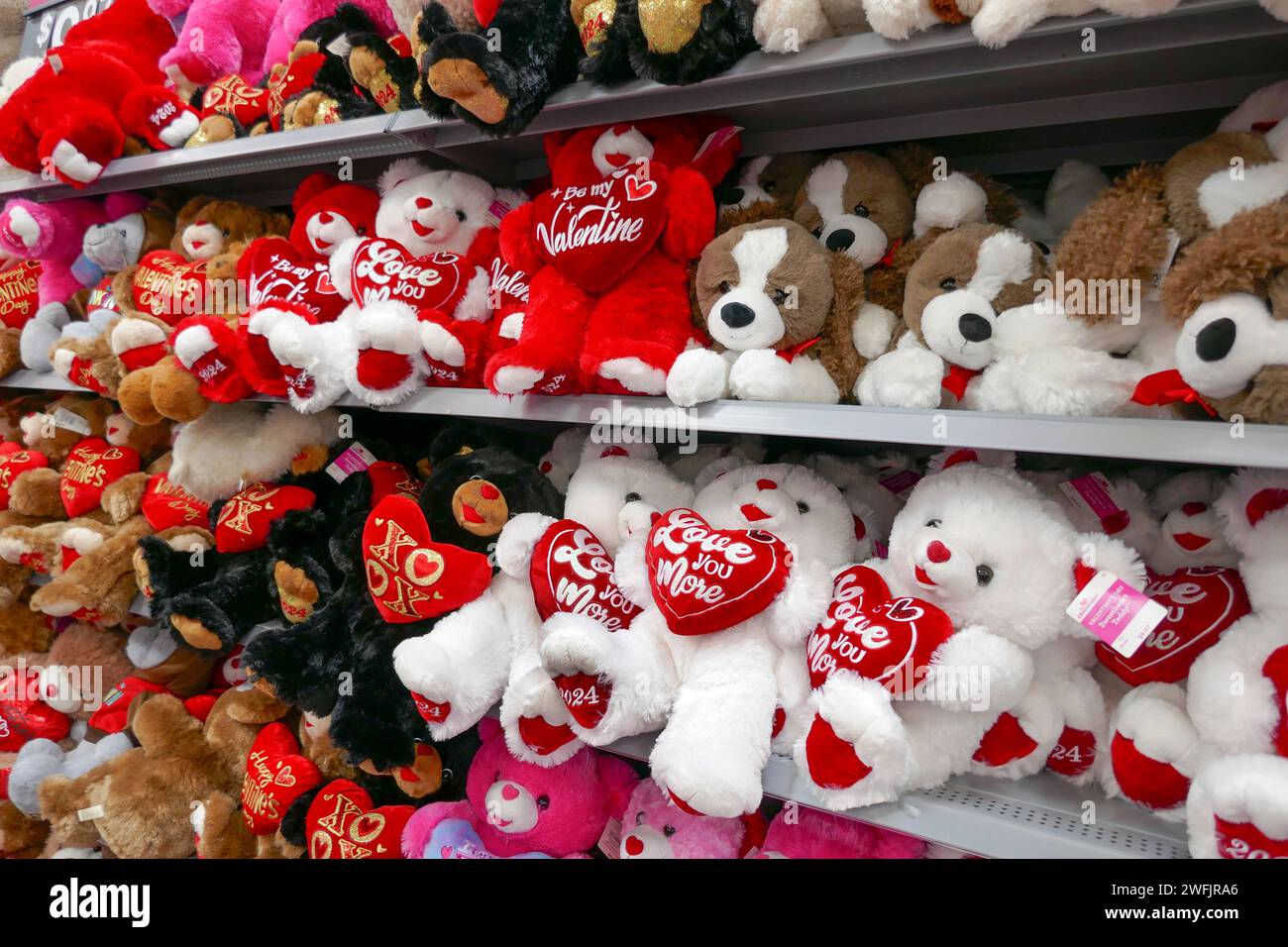 San Valentino 2024, orsetti e altri animali in vendita in un negozio locale nel nord della Florida. Foto Stock