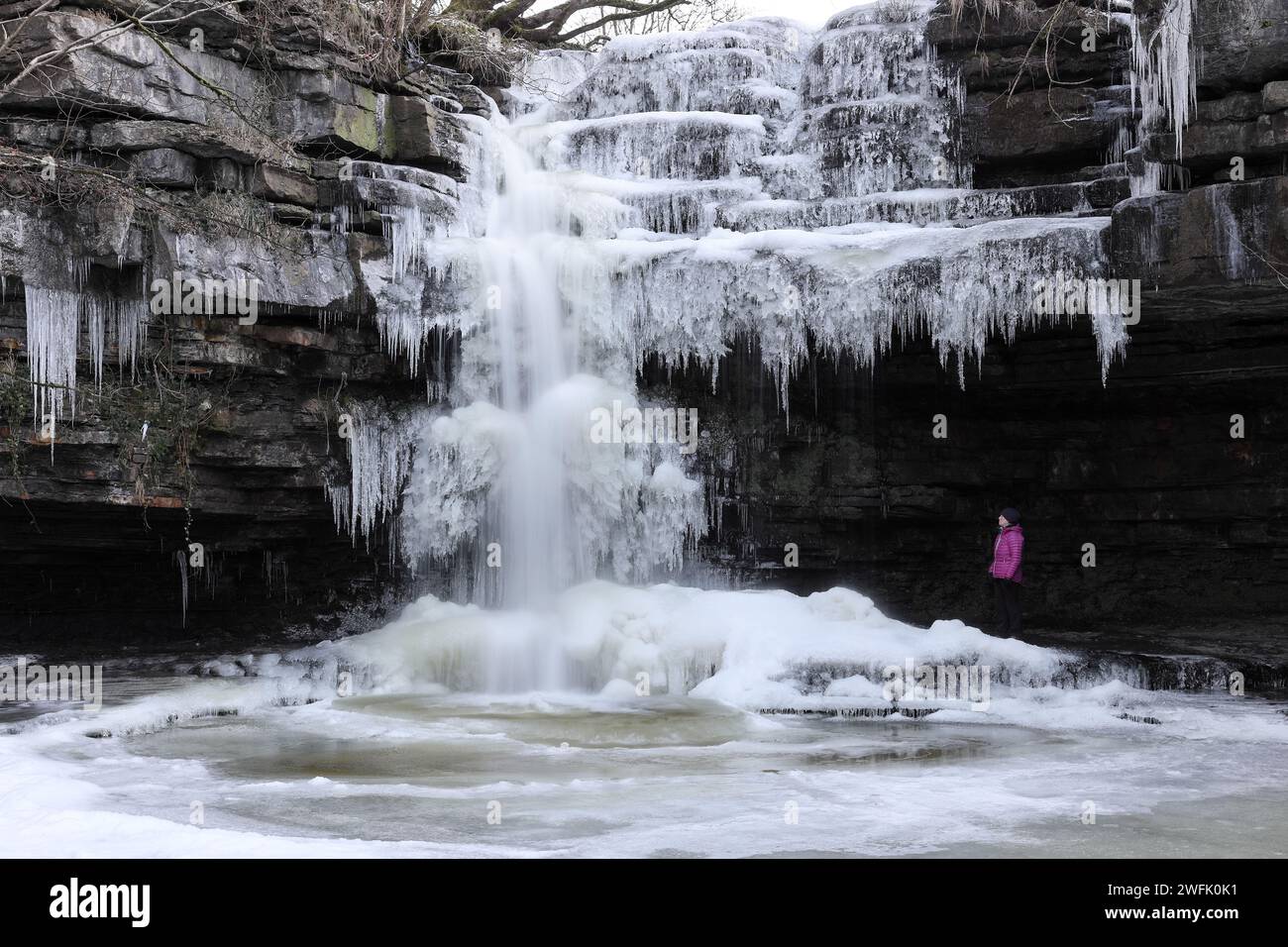 Walker si gode la vista di Summerhill Force in inverno, Bowlees, Teesdale, County Durham, Regno Unito Foto Stock