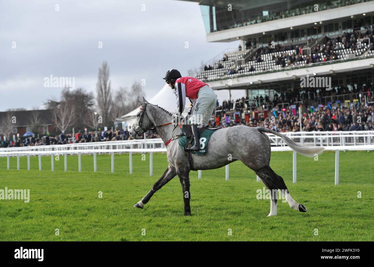 Gara 3 1,15 il podcast Paddy Power Cheltenham Countdown handicap Chase (Class 1 Premier handicap) Straw fan Jack guidato da Sean Houlihan Foto Stock