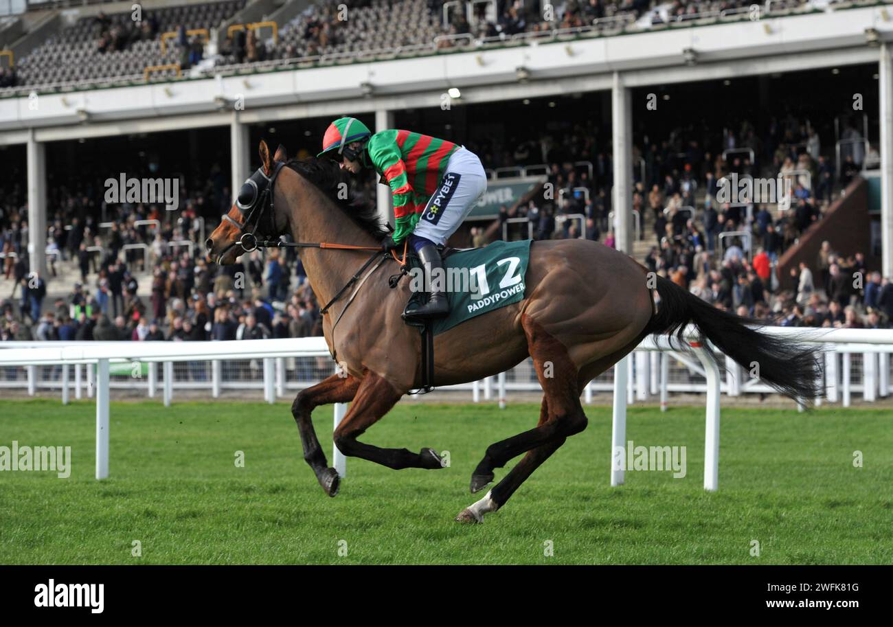 Gara 3 1,15 The Paddy Power Cheltenham Countdown Podcast handicap Chase (Class 1 Premier handicap) Lounge Lizard guidata da Jonathan Burke Foto Stock