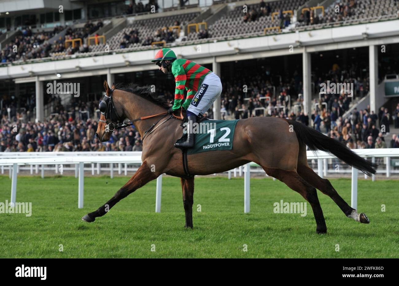 Gara 3 1,15 The Paddy Power Cheltenham Countdown Podcast handicap Chase (Class 1 Premier handicap) Lounge Lizard guidata da Jonathan Burke Foto Stock