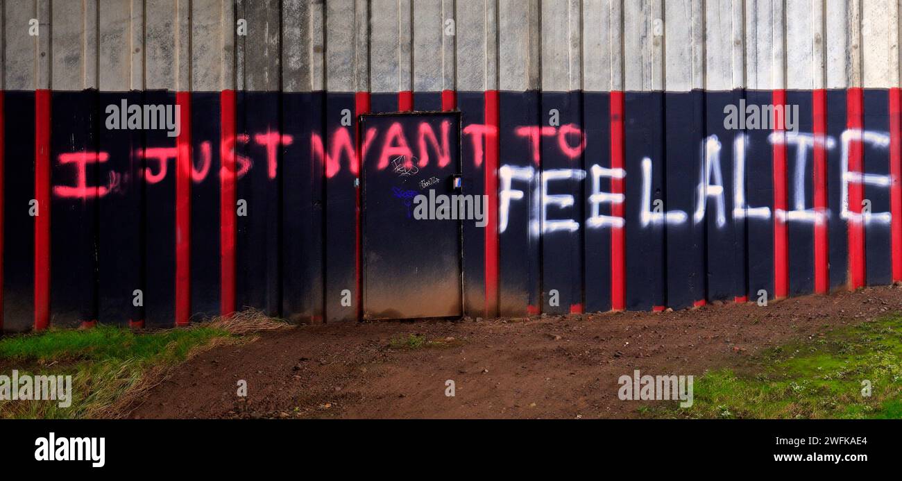 Dovrebbe essere scritto - voglio solo sentirmi vivo -? Si legge che voglio solo sentire Alie - Graffiti preso l'inverno 2024, gennaio. Foto Stock