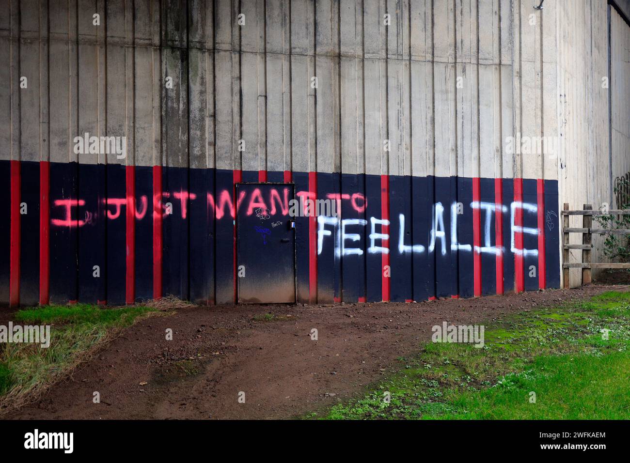 Dovrebbe essere scritto - voglio solo sentirmi vivo -? Si legge che voglio solo sentire Alie - Graffiti preso l'inverno 2024, gennaio. Foto Stock