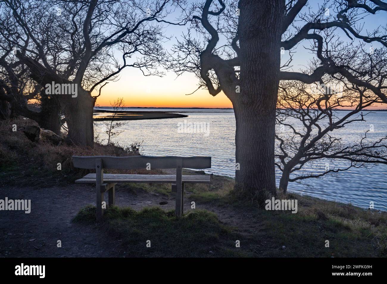 Guardando attraverso gli alberi dopo il tramonto lungo il sentiero costiero vicino a Itchenor nel bellissimo porto di Chichester. Foto Stock