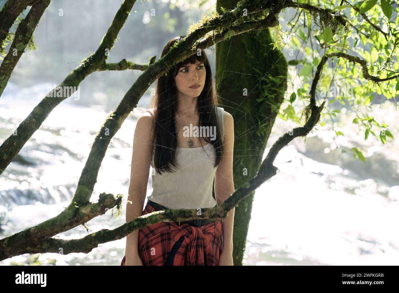 Madame Web Dakota Johnson Foto Stock