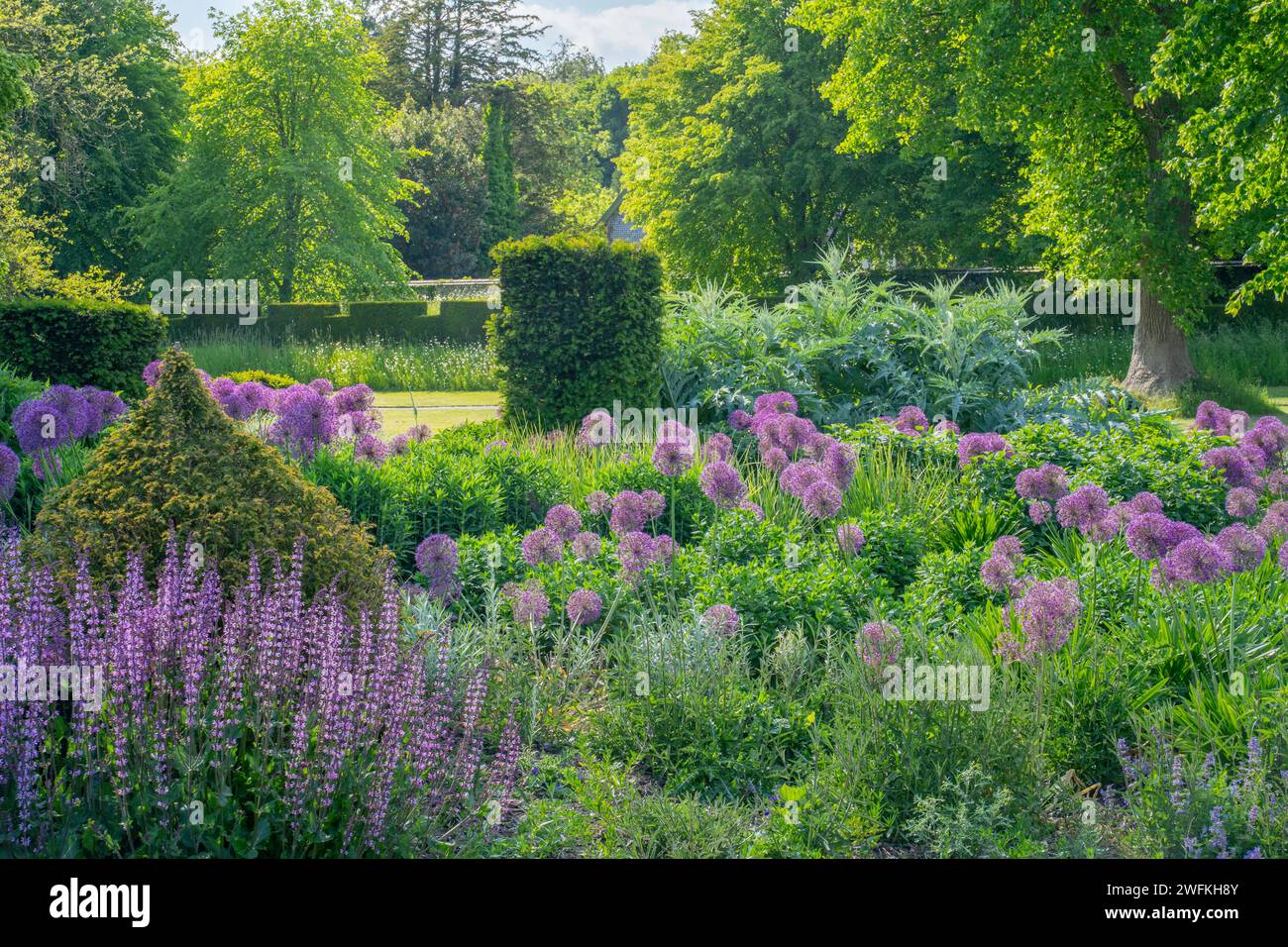 Bellissimi allievi e arbusti abbelliscono una piccola area dei magnifici giardini West Dean vicino a Chichester nel West Sussex. Foto Stock