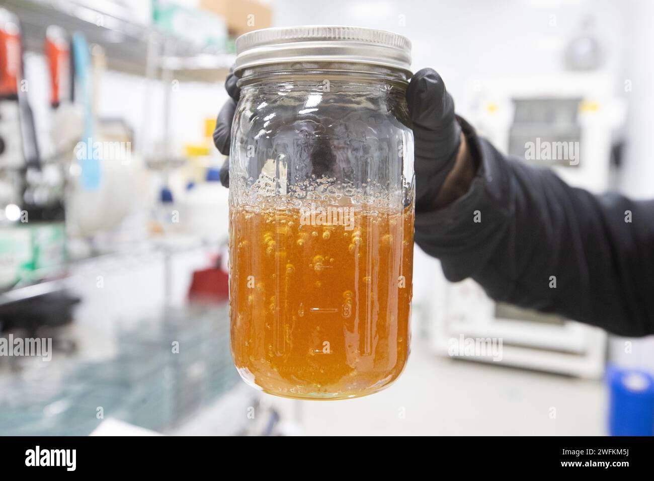 Un dipendente tiene in mano un vaso finito di estratto di olio di butano hash nello spazio di produzione del dispensario nel Rhode Island, USA Foto Stock