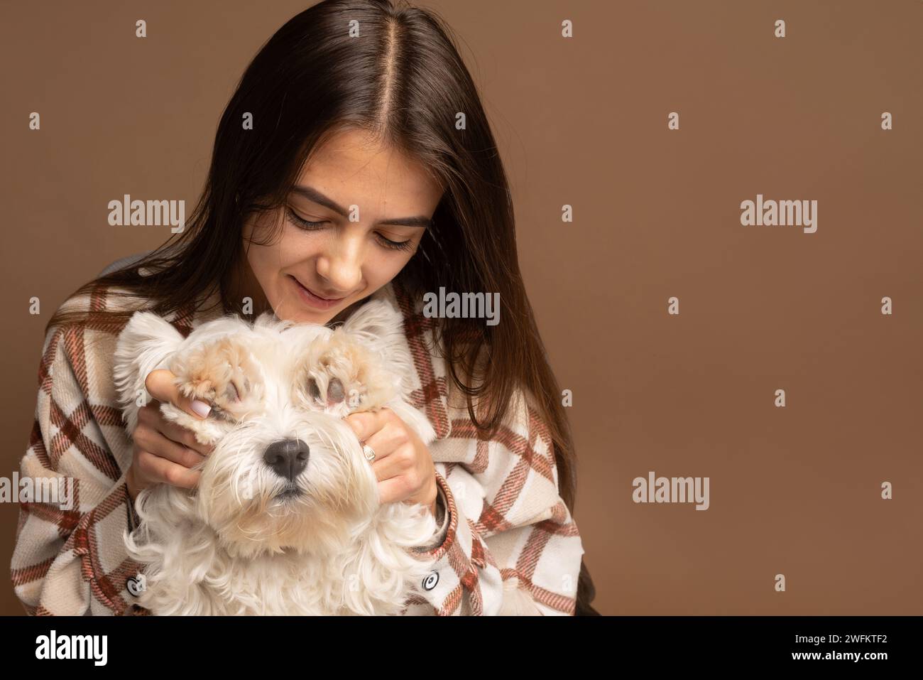 Ritratto di una ragazza con un cane bianco del West Highland White Terrier su sfondo marrone Foto Stock