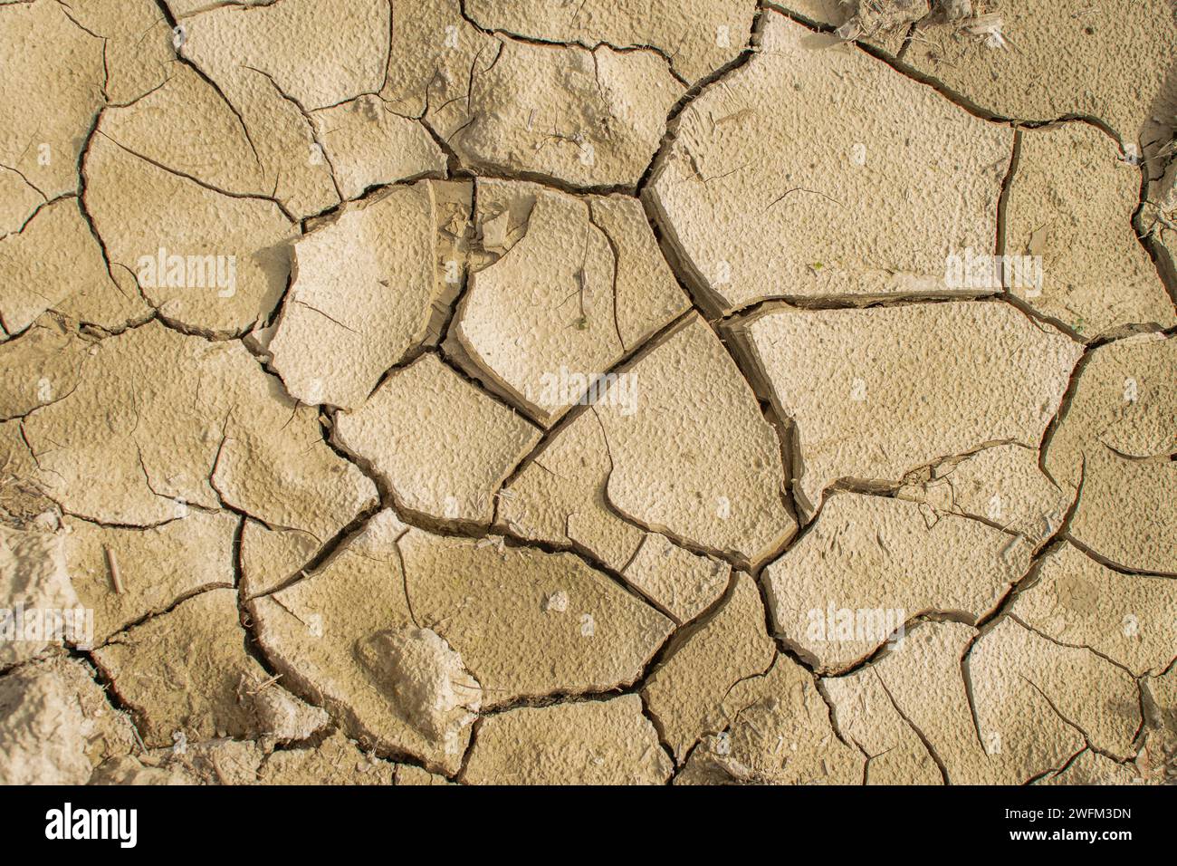 Terreno essiccato a causa della mancanza di acqua. Mancanza di crisi idrica. Gli effetti dei cambiamenti climatici. Fondo e consistenza essiccati in polvere. Giornata internazionale dell'acqua. Foto Stock