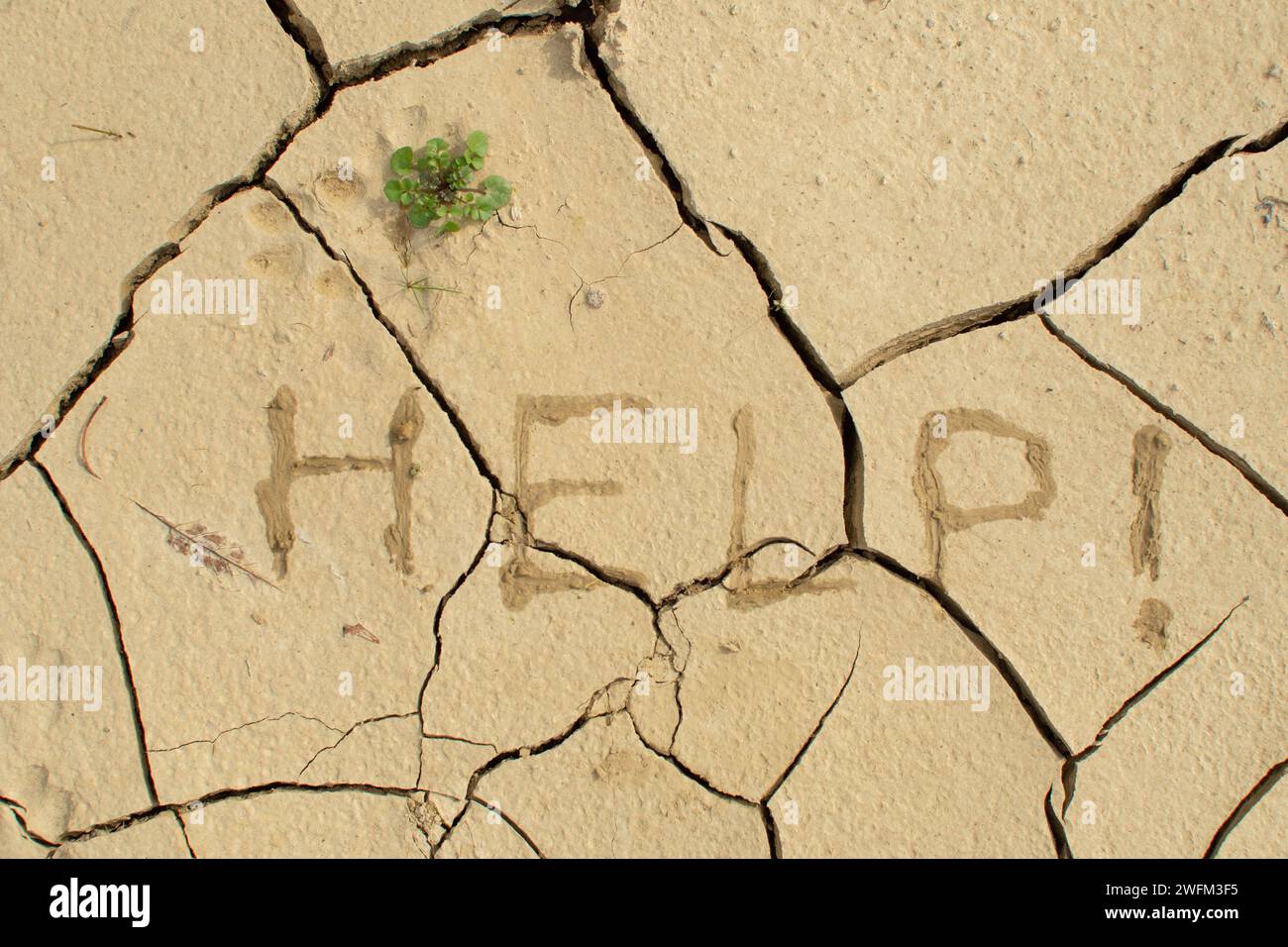 La parola AIUTO scritta su terreno secco. Gli effetti della siccità prolungata sui terreni agricoli in Europa. Crisi dell'acqua dolce. La terra si sta asciugando a causa di t Foto Stock