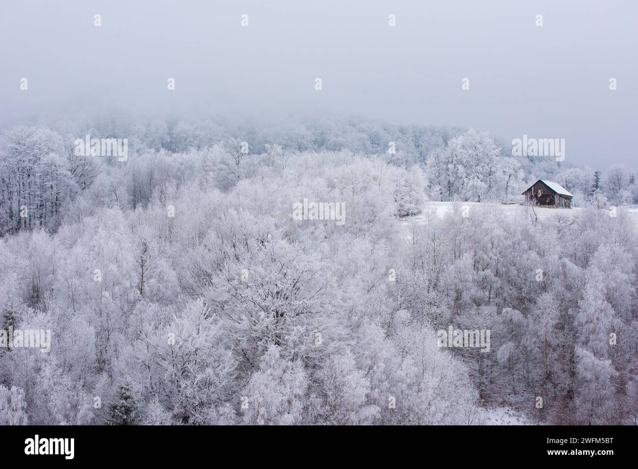 Una cabina isolata in legno circondata da una foresta ghiacciata. Splendido paesaggio invernale in chalet Foto Stock