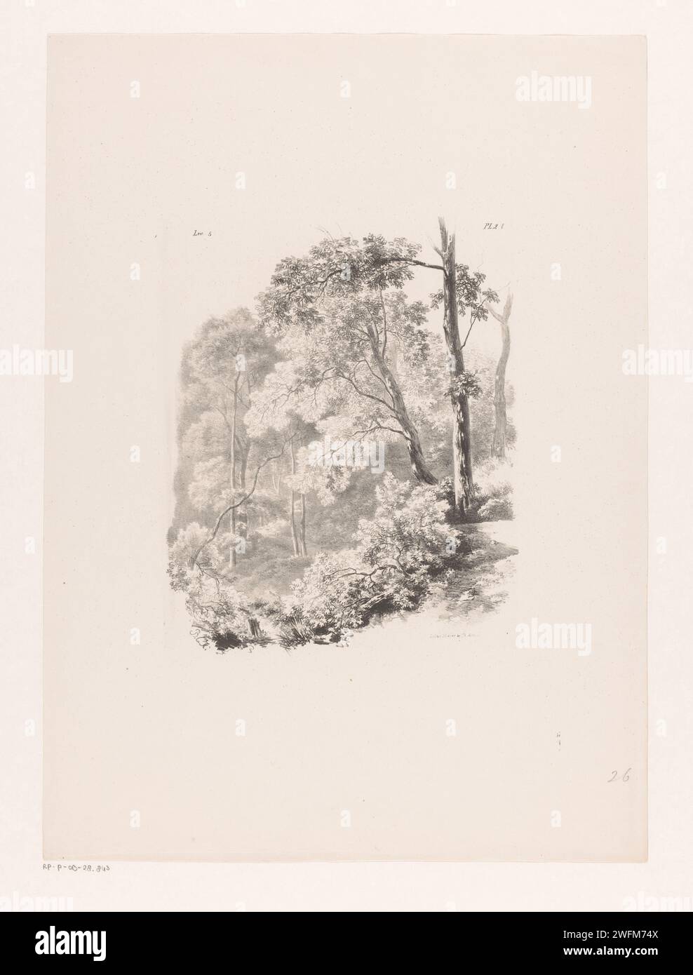 Bosgevicht, Barend Cornelis Koekkoek, 1844 - 1845 stampa numerata a sinistra e in alto a destra: 'Lev 5' e 'PL. 2 (...) Foresta di carta di Amsterdam, legno Foto Stock