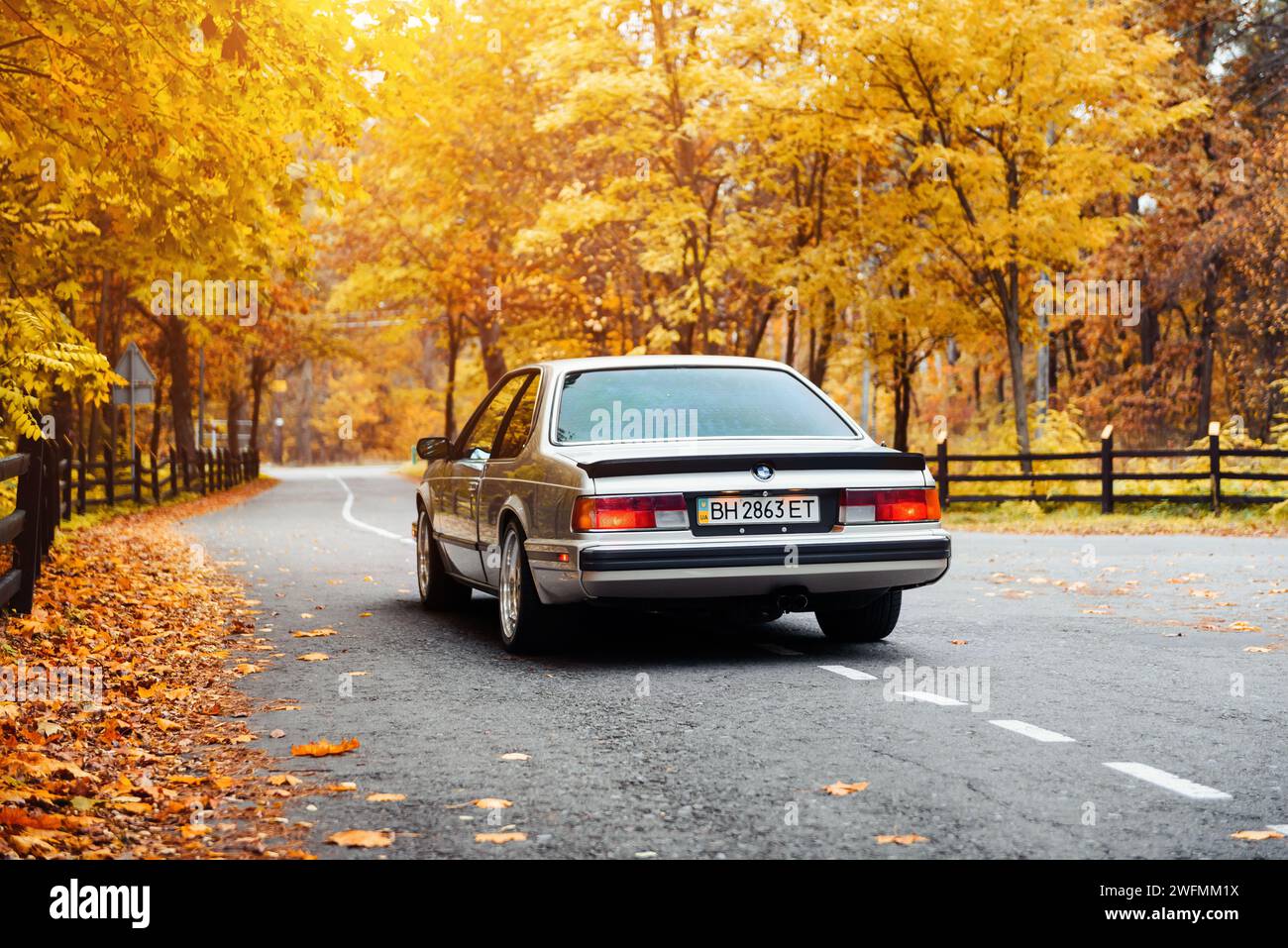 BMW serie 6 E24 coupé classica argento. Vista posteriore della BMW 1980-S "affilata" con bordi affilati in un giorno d'autunno dorato in una foresta Foto Stock