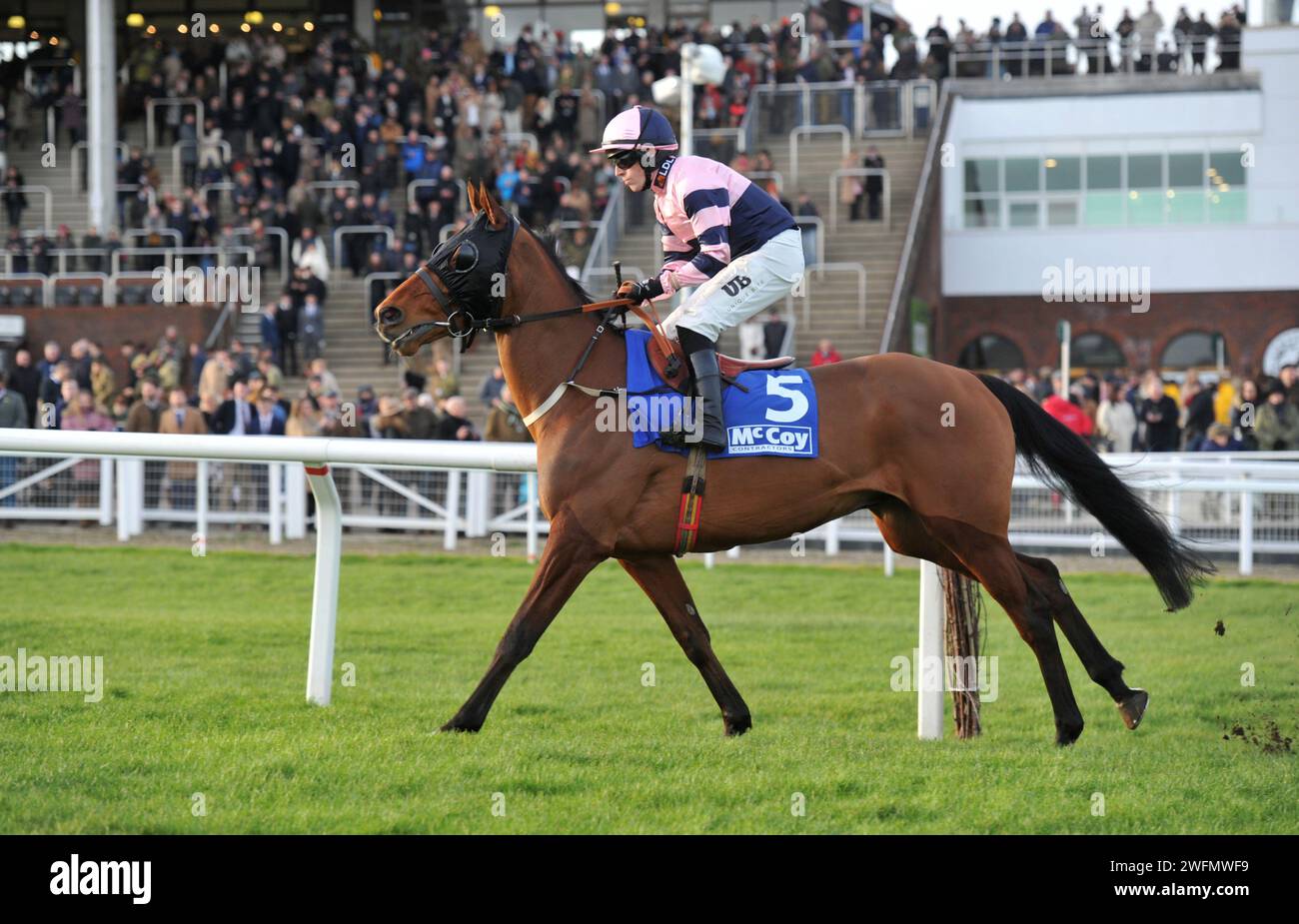 Gara 7 ore 15:35: Il ponte di volo della McCoy Contractors Cleeve hurdle Race guidato da Chris Ward sulla strada per la partenza. Ippodromo di Cheltenham Foto Stock