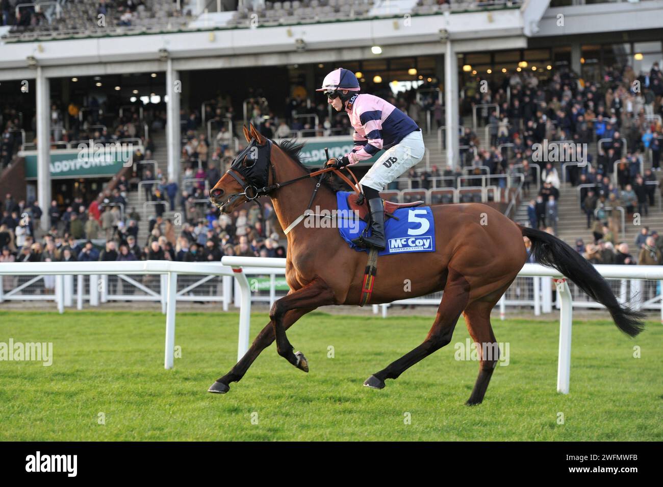 Gara 7 ore 15:35: Il ponte di volo della McCoy Contractors Cleeve hurdle Race guidato da Chris Ward sulla strada per la partenza. Ippodromo di Cheltenham Foto Stock