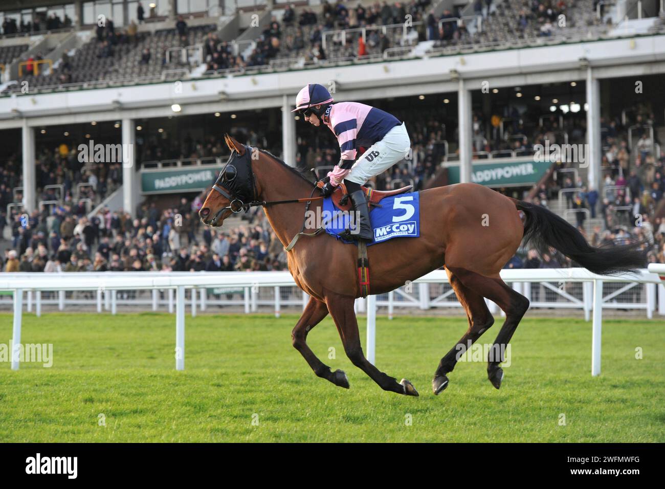Gara 7 ore 15:35: Il ponte di volo della McCoy Contractors Cleeve hurdle Race guidato da Chris Ward sulla strada per la partenza. Ippodromo di Cheltenham Foto Stock