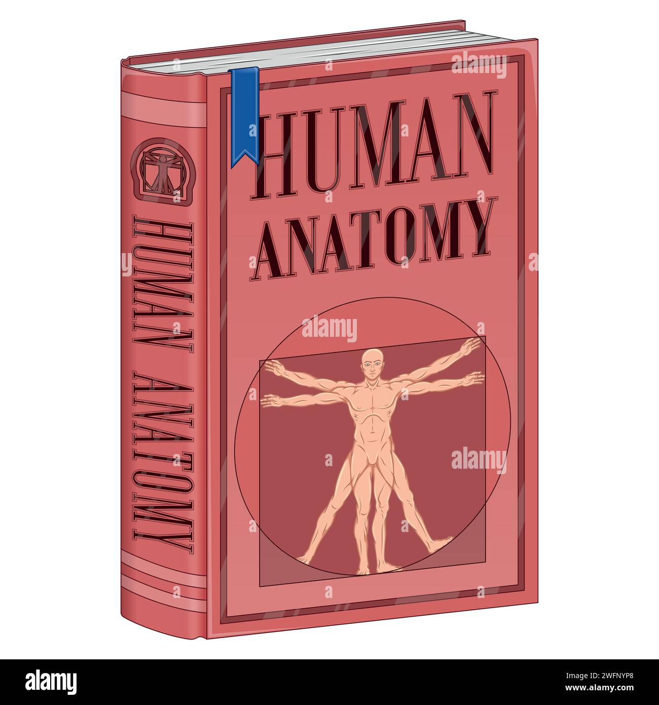 Vector design Human Anatomy libro universitario, libro con vitruvian Man sulla copertina Illustrazione Vettoriale