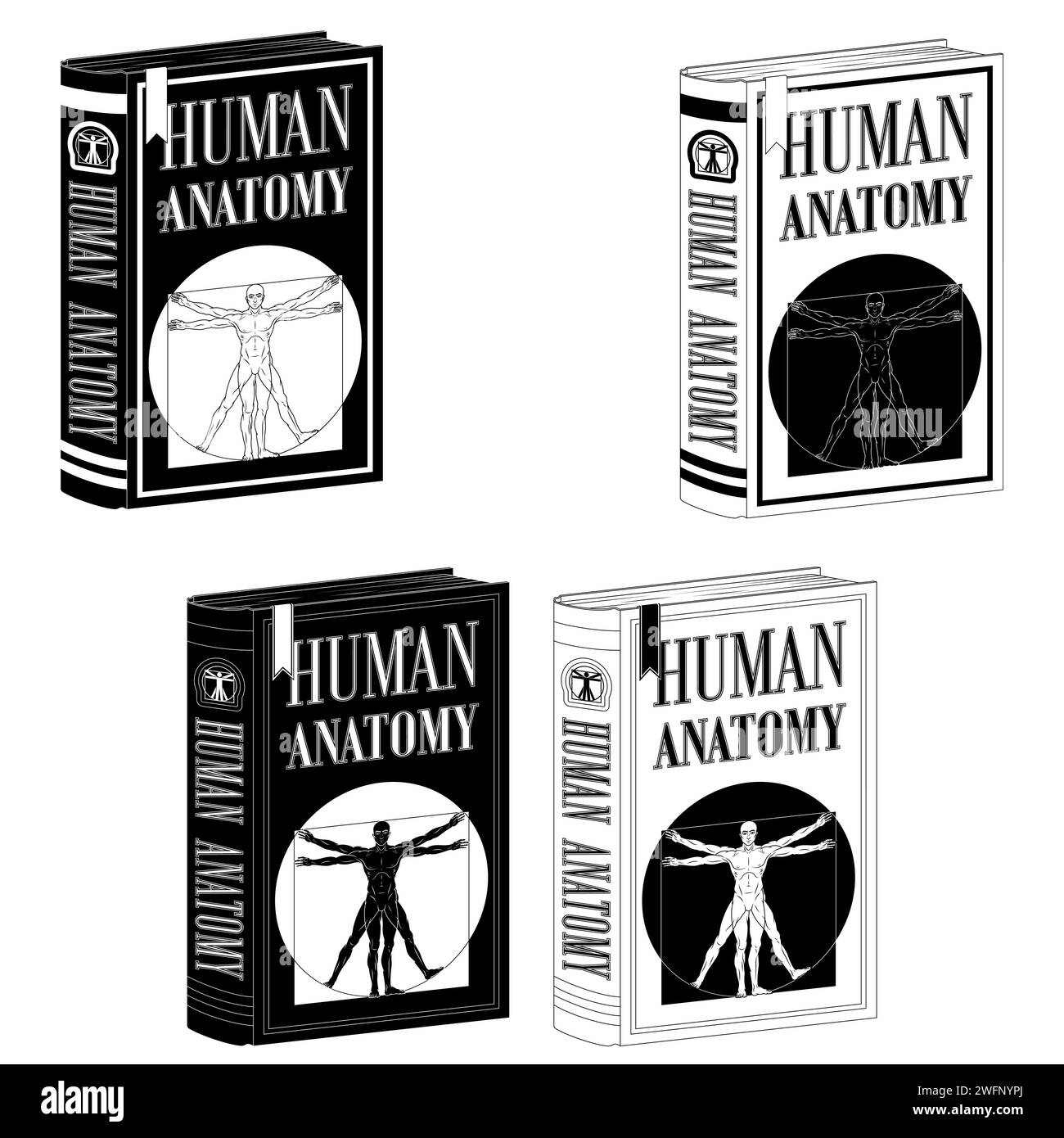 Vector design Human Anatomy libro universitario, libro con vitruvian Man sulla copertina Illustrazione Vettoriale