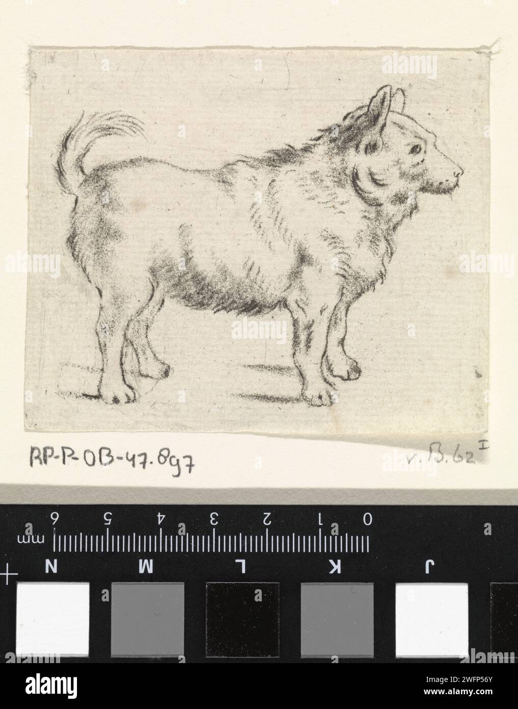 Cane a destra, Pieter Janson, 1780 - 1851 cane di carta stampata Foto Stock