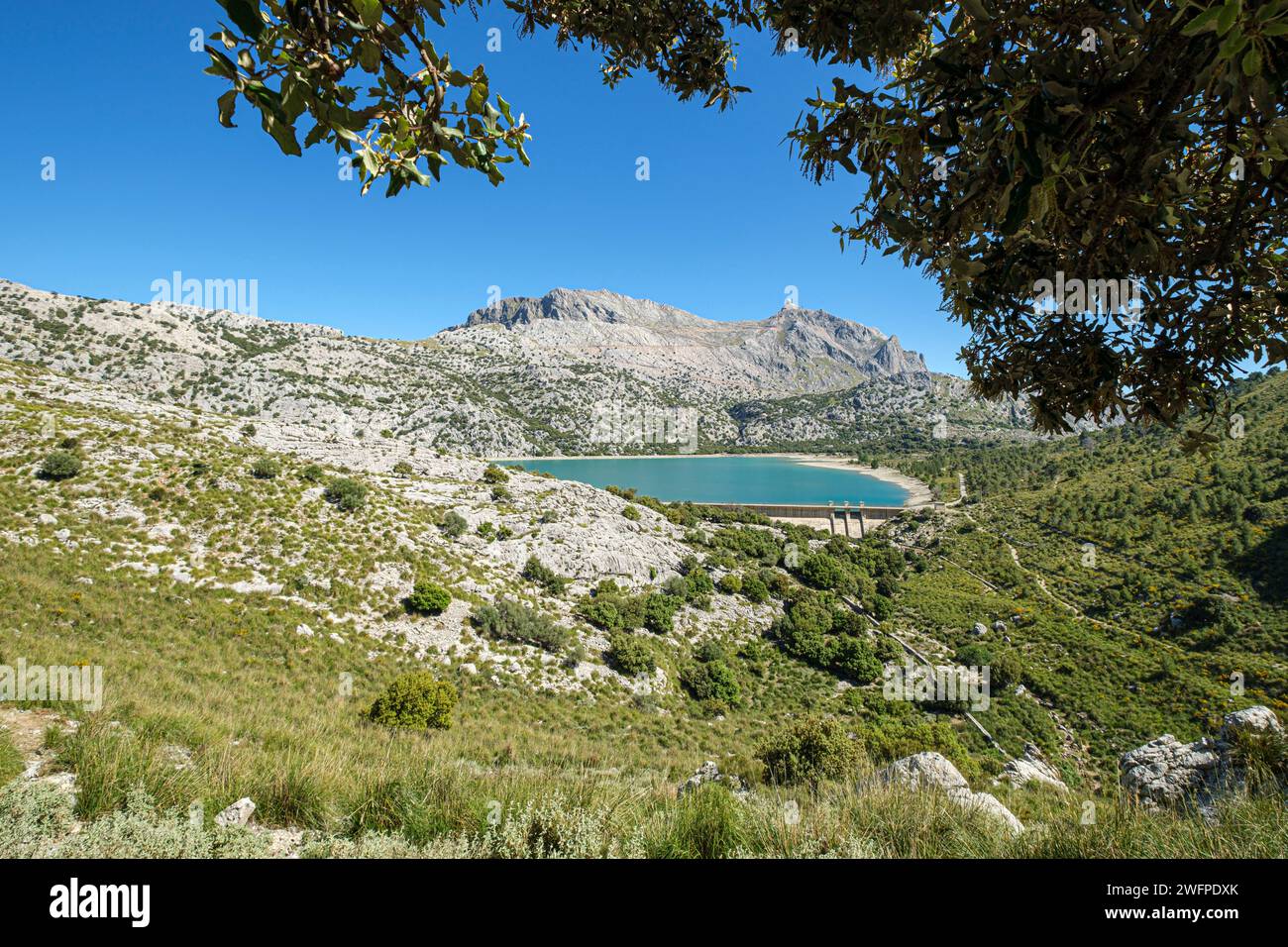 embalse de Cuber, Mallorca, Isole Baleari, Spagna Foto Stock