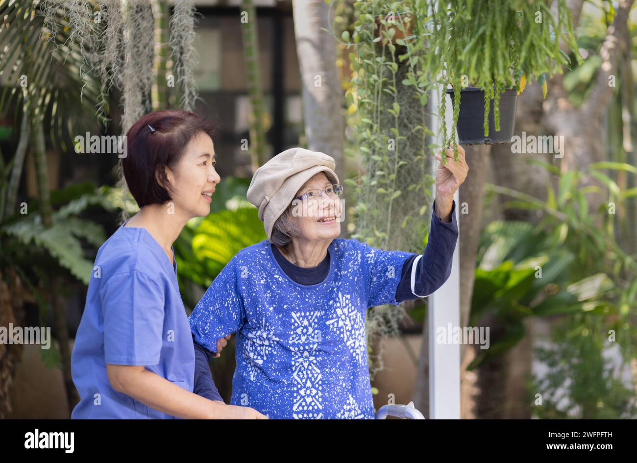 Terapia di giardinaggio nel trattamento della demenza sulle donne anziane. Foto Stock