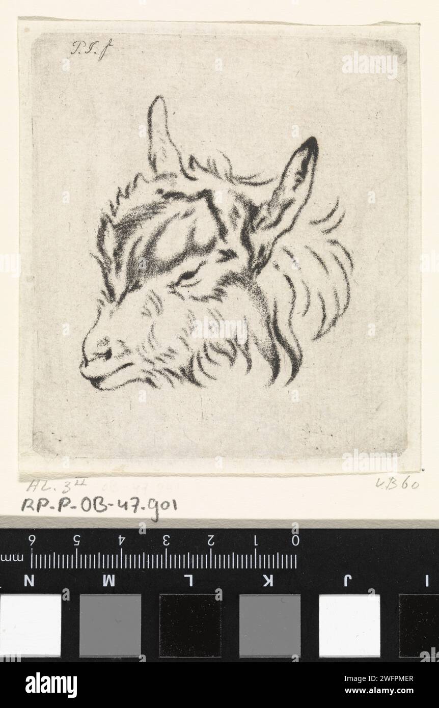 Testa di capra a sinistra, Pieter Janson, 1780 - 1851 stampa di carta capra Foto Stock