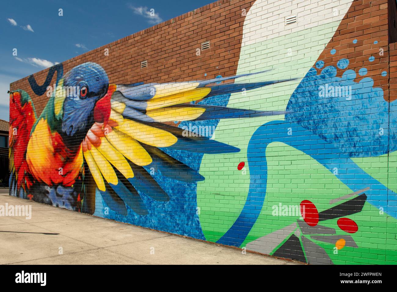 Rainbow Lorikeet Street Art, Centro commerciale Studfield, Wantirna, Victoria, Australia Foto Stock