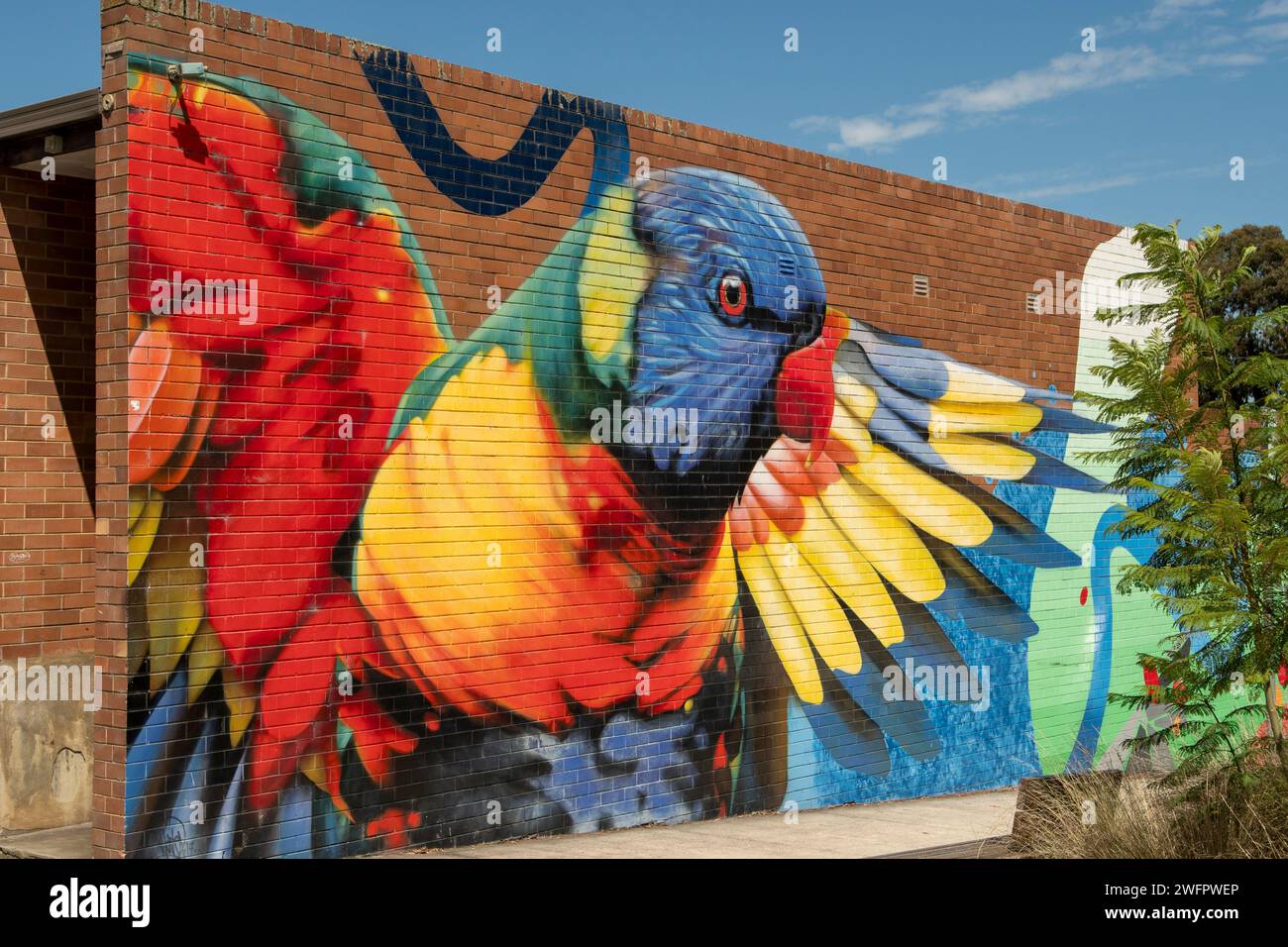 Rainbow Lorikeet Street Art, Centro commerciale Studfield, Wantirna, Victoria, Australia Foto Stock