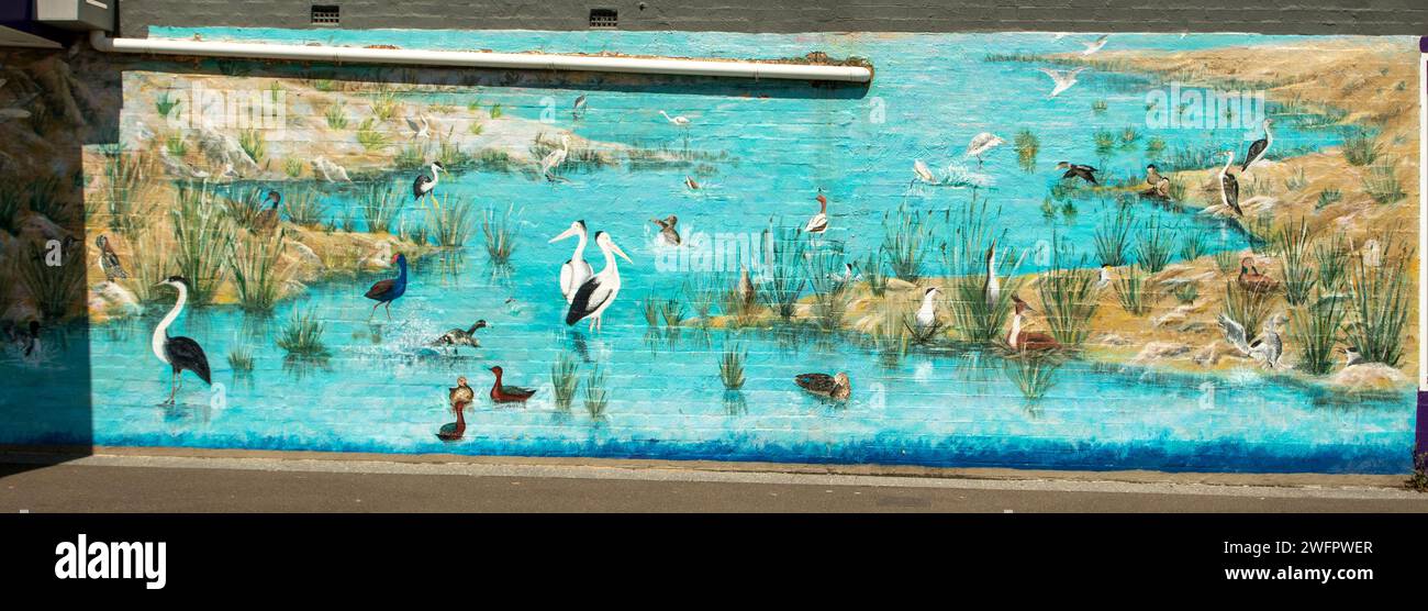 Water Birds Street Art, Railway Parade, Bayswater, Victoria, Australia Foto Stock