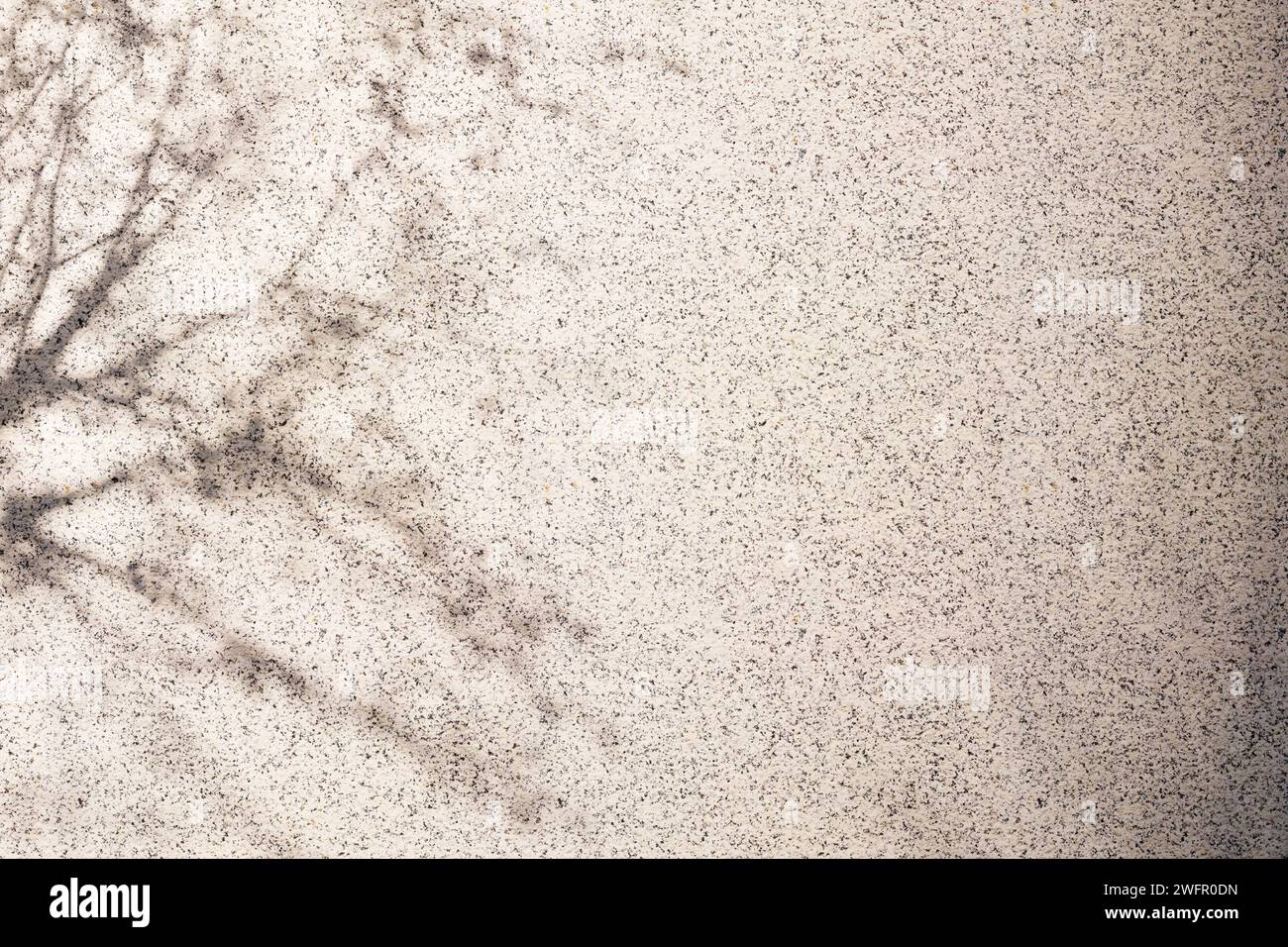 Sole, ombre degli alberi, sfondi di varie texture. Foto Stock