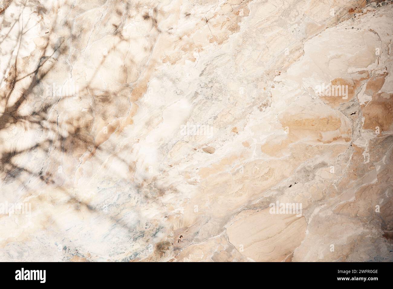 Sole, ombre degli alberi, sfondi di varie texture. Foto Stock