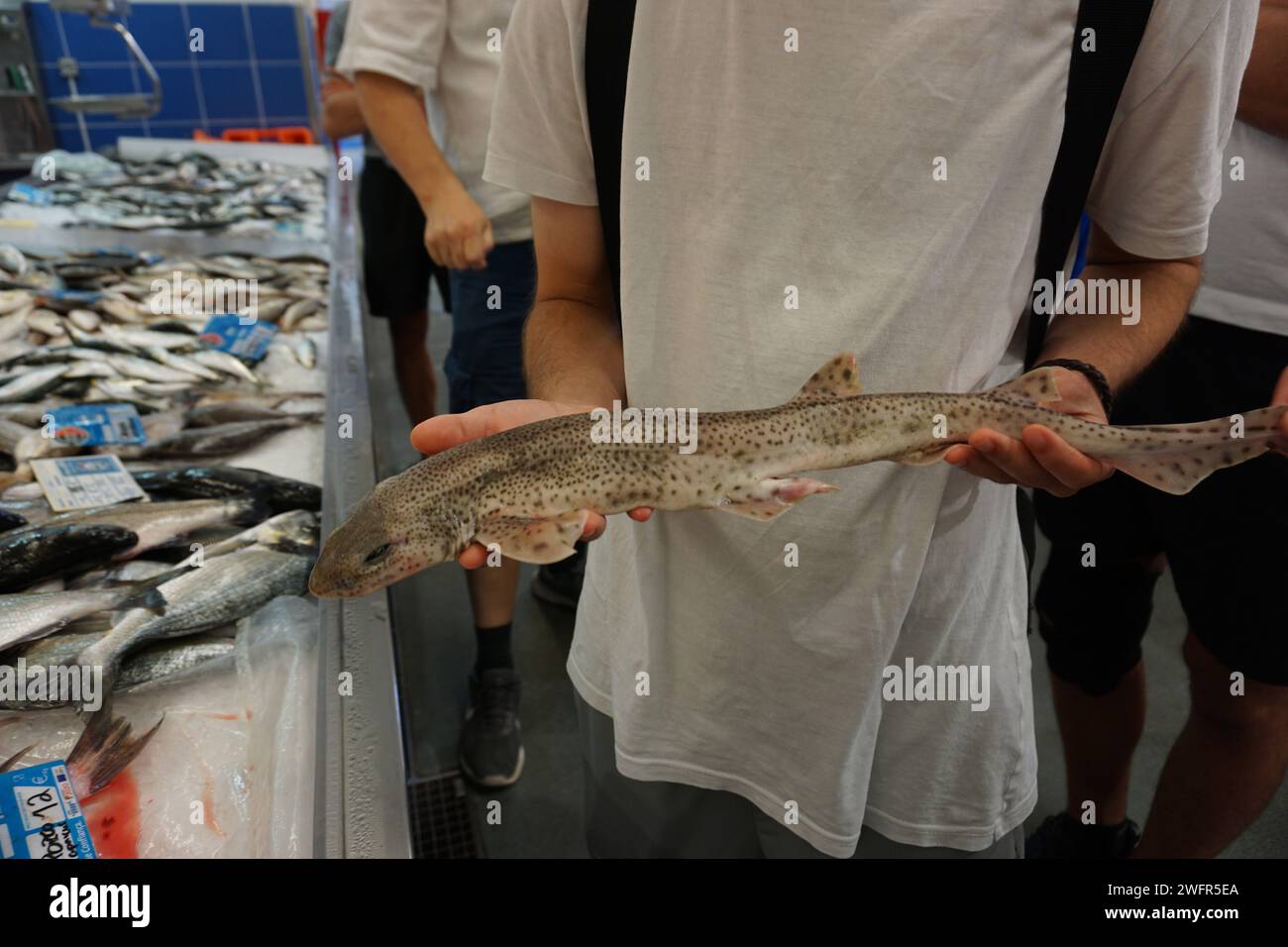 Fisch Foto Stock