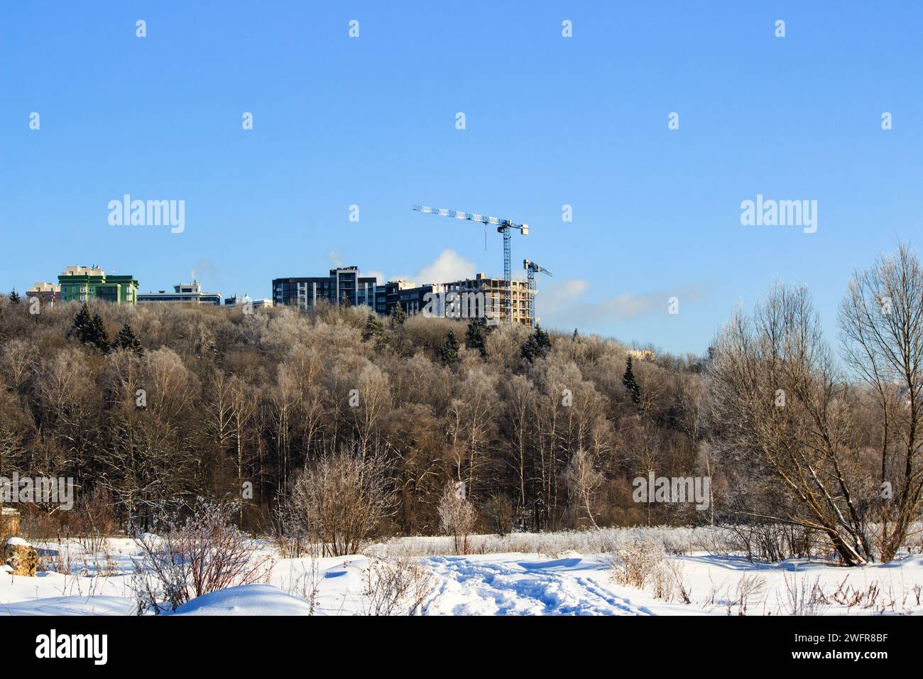 Nuovi edifici che si innalzano sopra le cime degli alberi, crescita della città Foto Stock