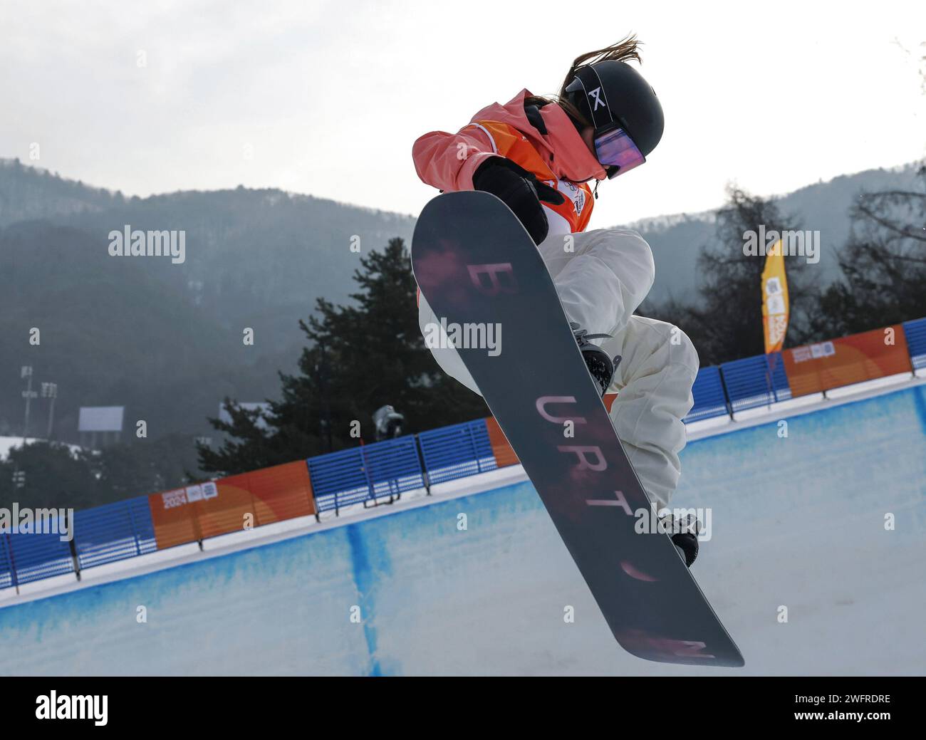 Hoengseong, Corea del Sud. 1 febbraio 2024. Lura Wick of Switzerland compete durante la qualificazione femminile di halfpipe di snowboard ai Giochi Olimpici Giovanili invernali di Gangwon 2024 a Hoengseong, Corea del Sud, 1 febbraio 2024. Credito: HU Huhu/Xinhua/Alamy Live News Foto Stock