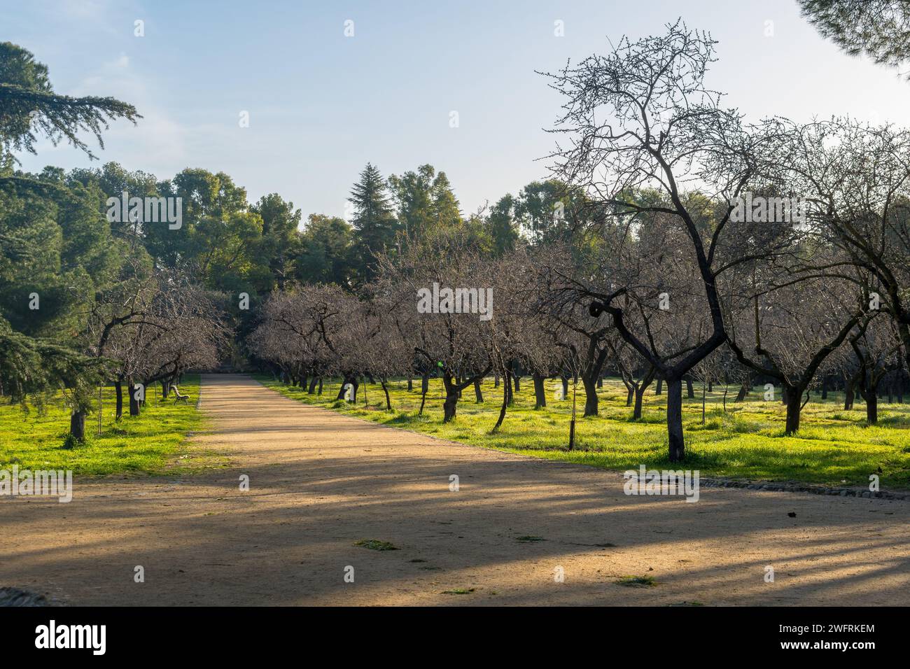 QUINTANA DE LOS MOLINOS PARK IN UNA GIORNATA DI SOLE CON UN SENTIERO TRANQUILLO Foto Stock