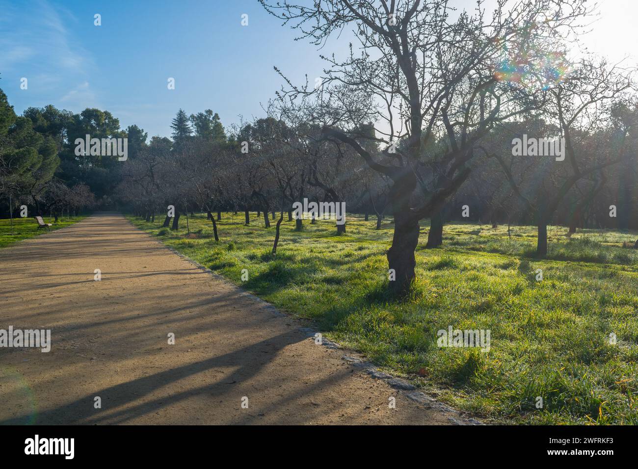 QUINTANA DE LOS MOLINOS PARK IN UNA GIORNATA DI SOLE CON UN SENTIERO TRANQUILLO Foto Stock